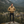 VALERO Sherpa Jacket